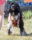 20170819-awd-0357