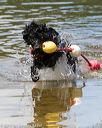 20170819-awd-0441