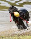 20170819-awd-0456