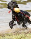 20170819-awd-0457