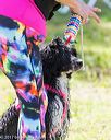 20170819-awd-0522