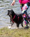 20170819-awd-0581