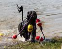20170819-awd-0643