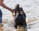 20170819-awd-0683