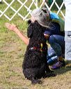 20170819-awd-0711