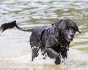 20170819-cwd-0039