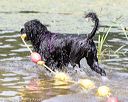 20170819-cwd-0102