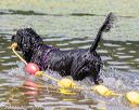 20170819-cwd-0107