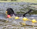20170819-cwd-0111