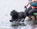 20170819-cwd-0116