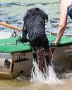 20170819-cwd-0176