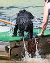 20170819-cwd-0177