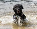 20170819-cwd-0200