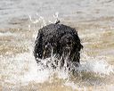 20170819-cwd-0204