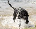 20170819-cwd-0205