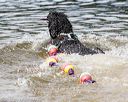 20170819-cwd-0221