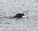 20170819-cwd-0246