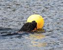 20170819-cwd-0285