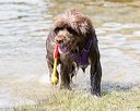 20170819-cwd-0289