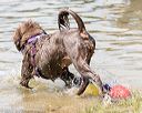 20170819-cwd-0292