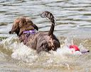 20170819-cwd-0301