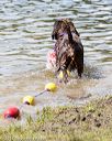 20170819-cwd-0345