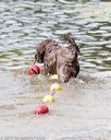 20170819-cwd-0348