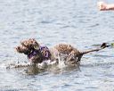 20170819-cwd-0370
