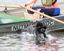 20170819-cwd-0419