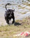 20170819-cwd-0432