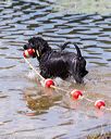 20170819-cwd-0445