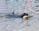 20170819-cwd-0457