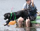 20170819-cwd-0500