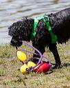 20170819-cwd-0524