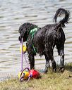 20170819-cwd-0528