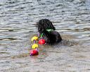 20170819-cwd-0535