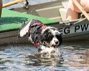 20170819-cwd-0578