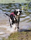 20170819-cwd-0594