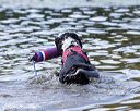 20170819-cwd-0630