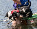 20170819-cwd-0655