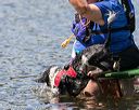 20170819-cwd-0656