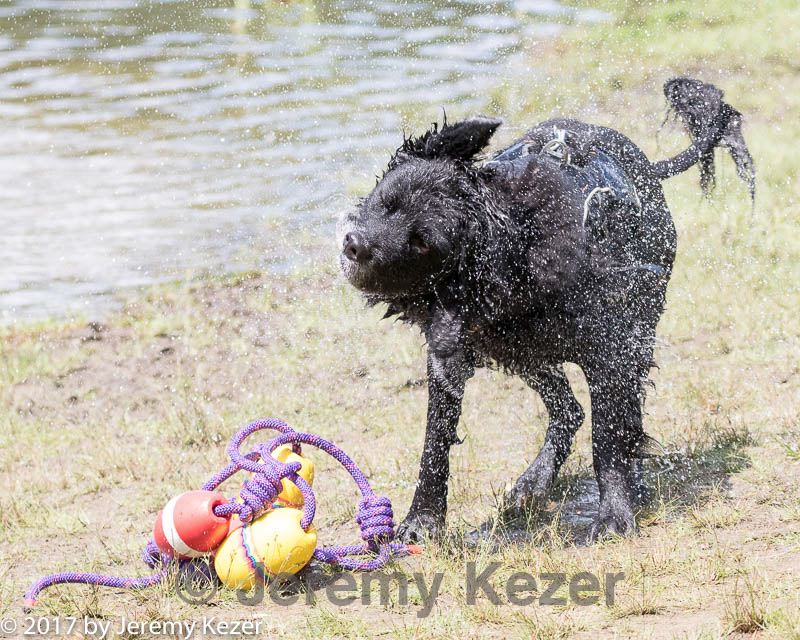 20170819-cwd-0046.jpg