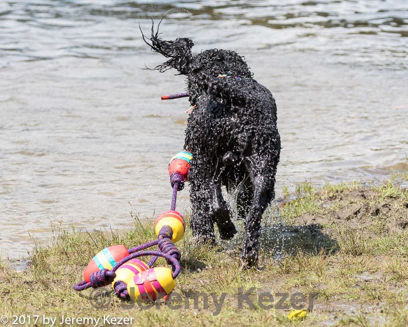 20170819-cwd-0213.jpg
