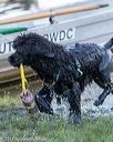 20170819-jwd-0011