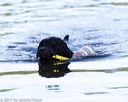 20170819-jwd-0024