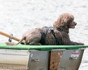 20170819-mwd-0007