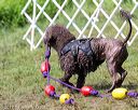20170819-mwd-0039