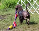 20170819-mwd-0041