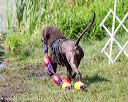 20170819-mwd-0042