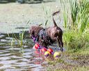 20170819-mwd-0046